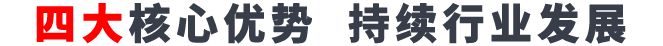 四大核心優(yōu)勢 開啟智能新時(shí)代